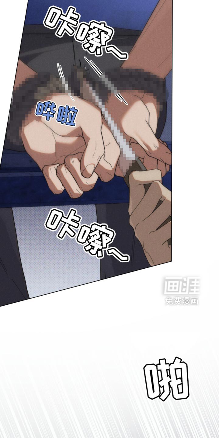 第49章：【第二季】视线范围
