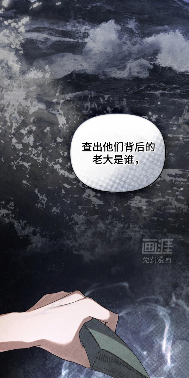 第49章：【第二季】视线范围