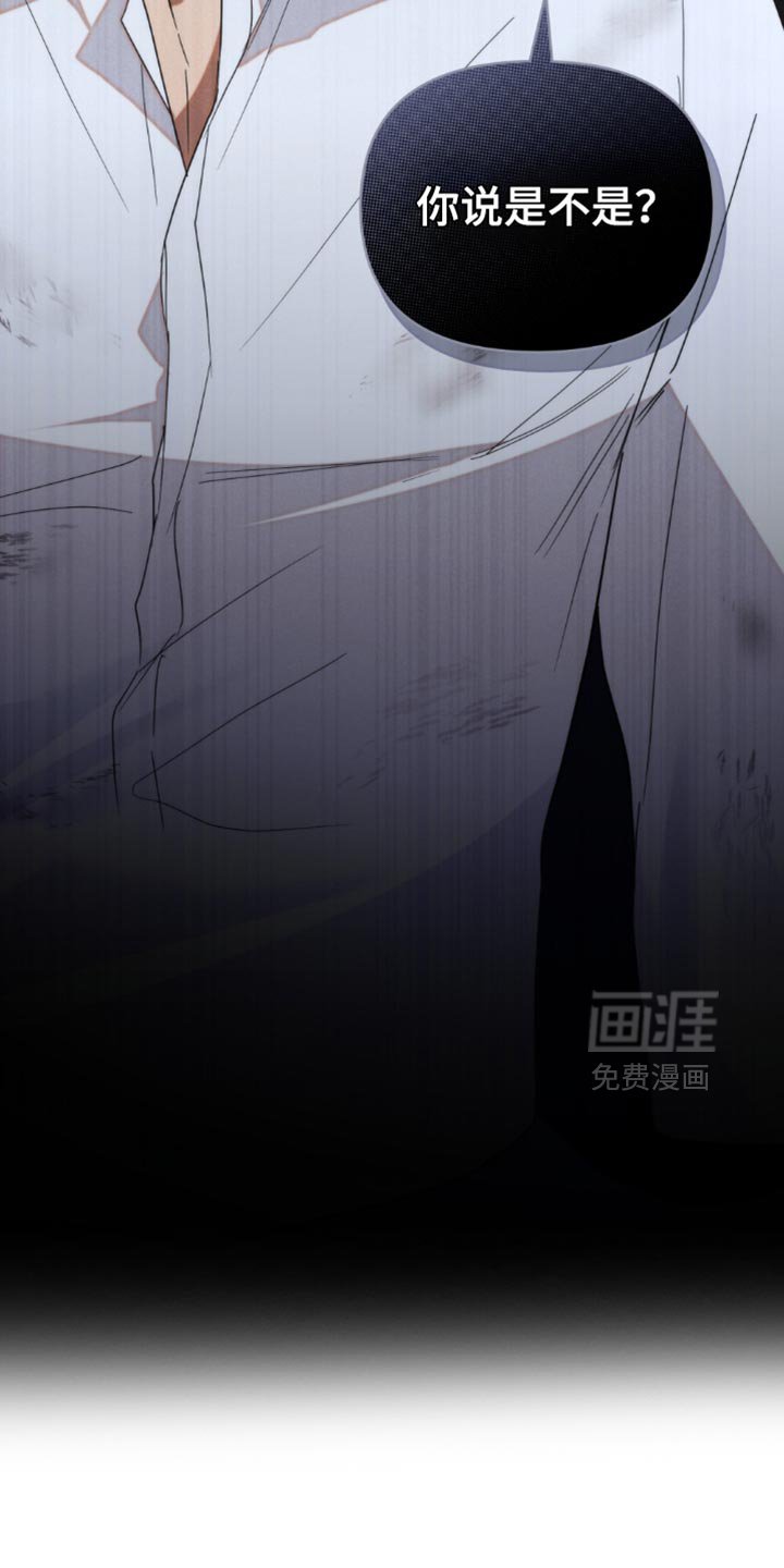 第49章：【第二季】视线范围