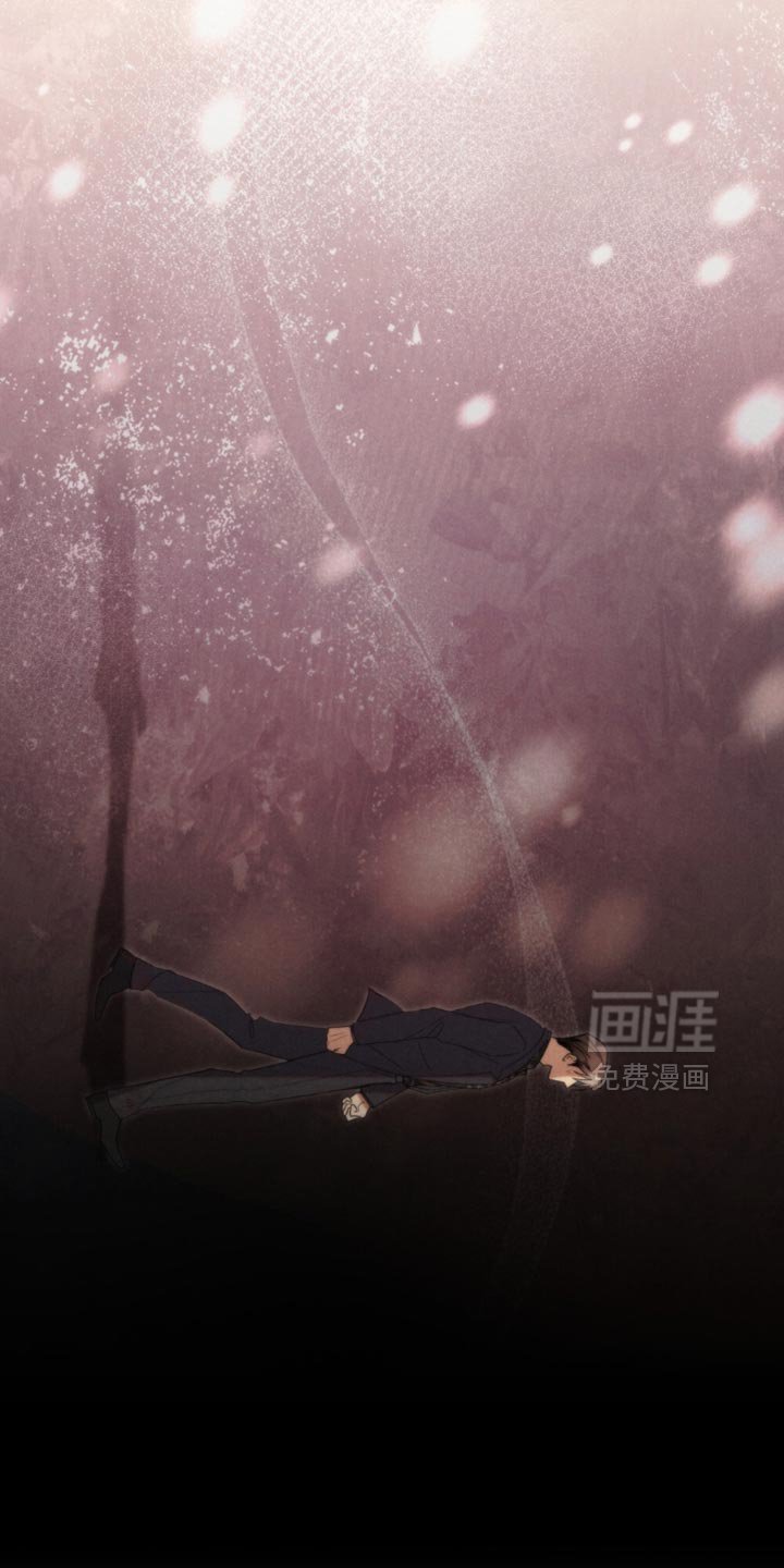 第74章：【第二季】已经都结束了