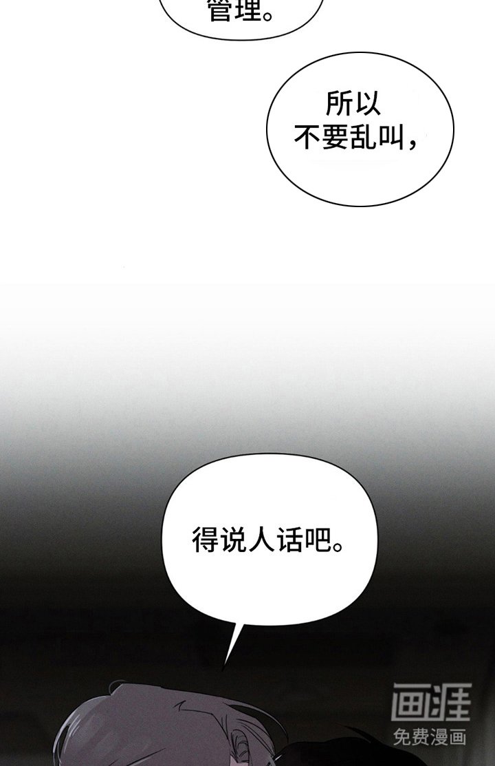 第12章：眼神