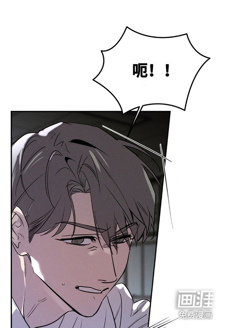 第12章：眼神
