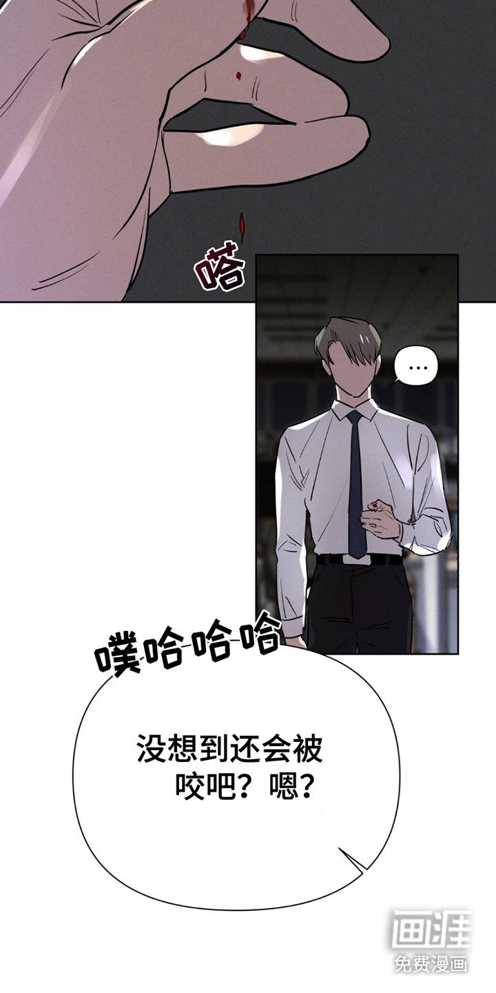 第12章：眼神