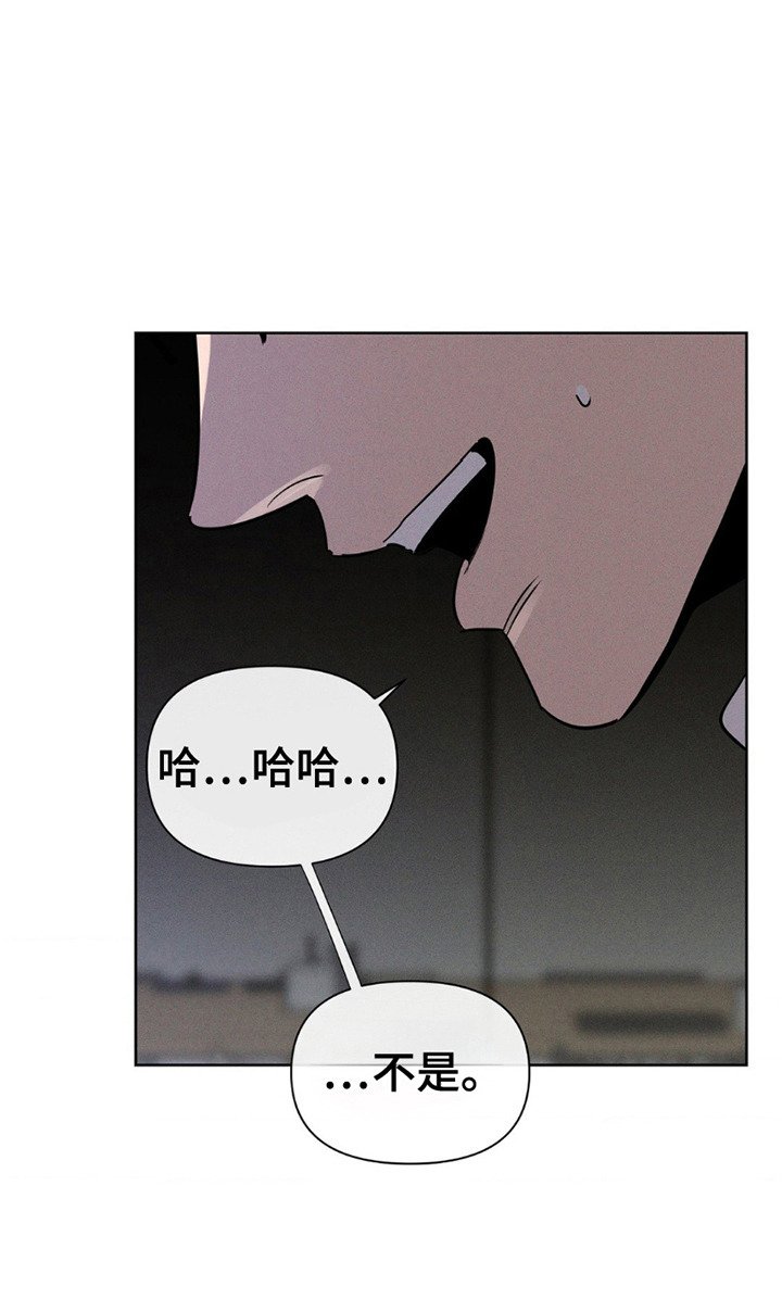 第14章：查找