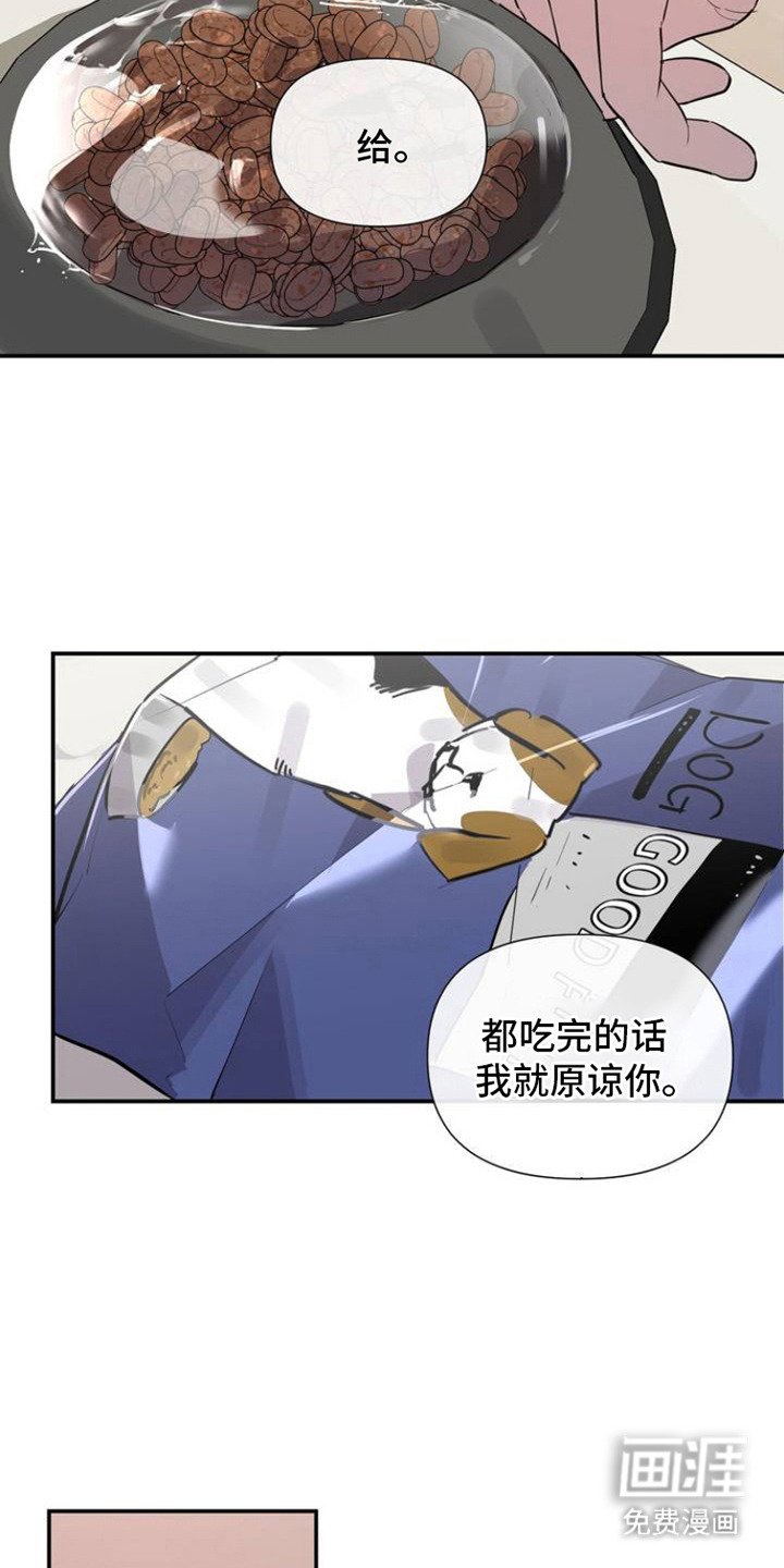 第3章：狗崽子