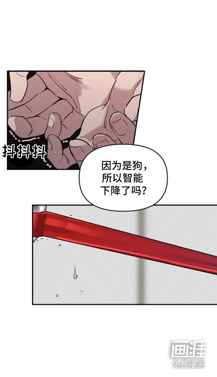 第3章：狗崽子