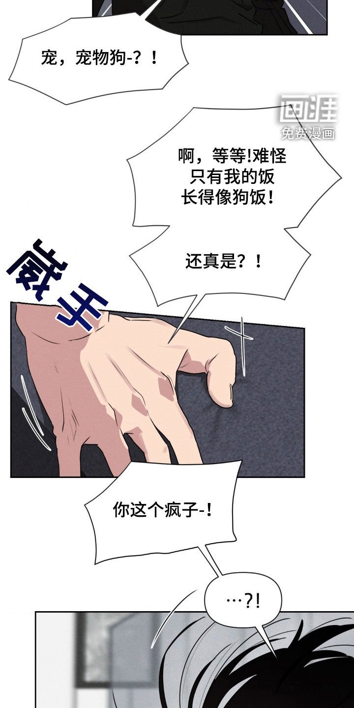 第45章：狗饭