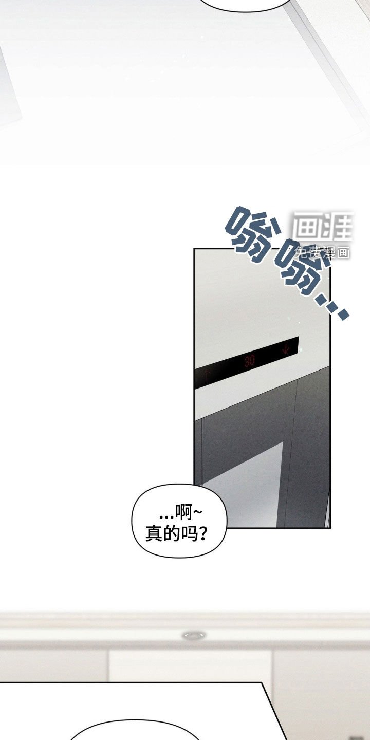 第48章：我要结婚了