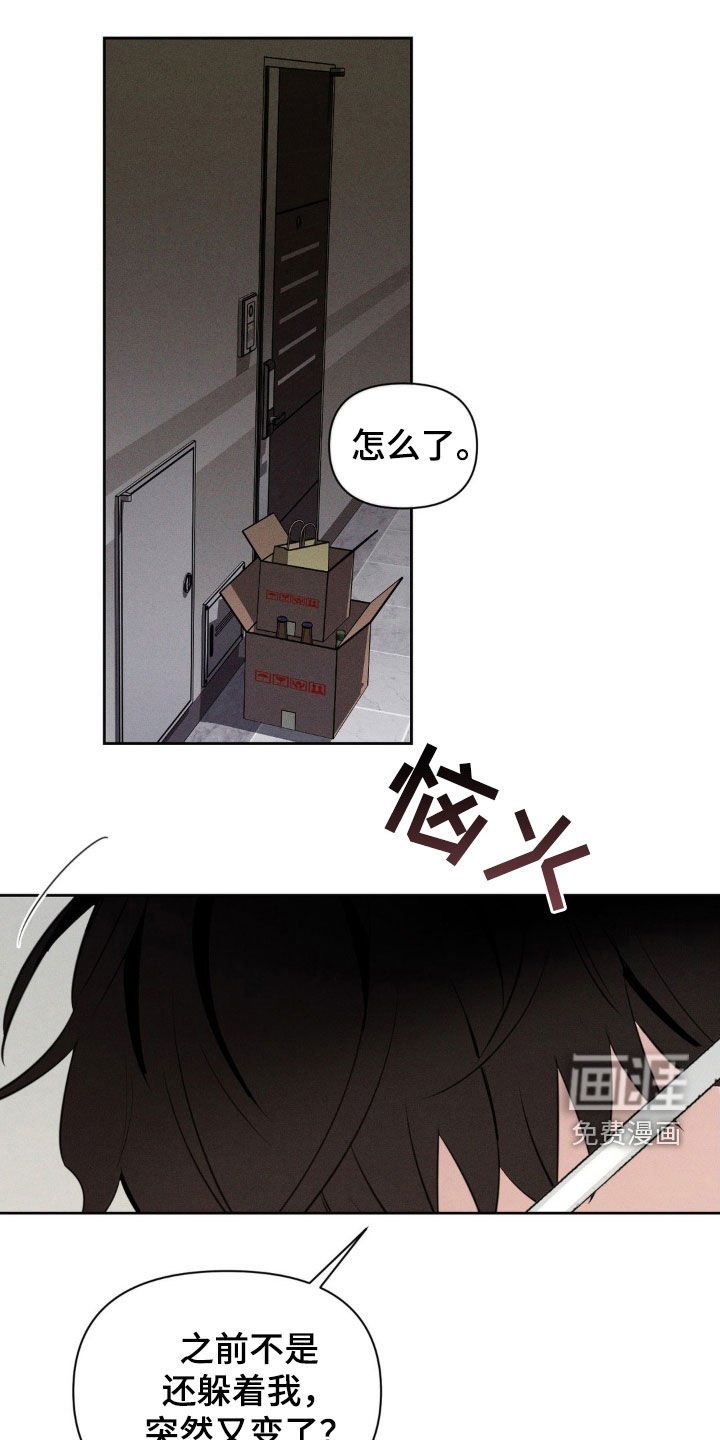 第52章：为什么躲着我