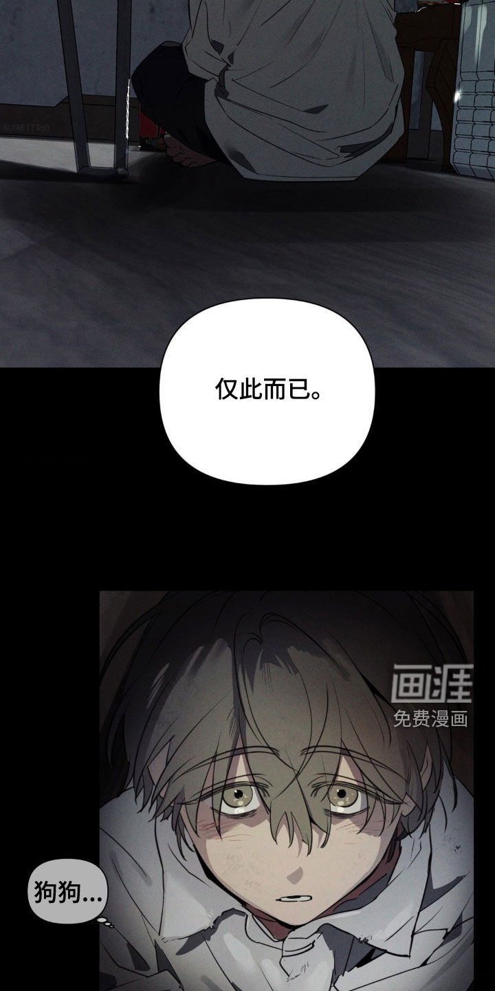 第54章：不同种类的爱