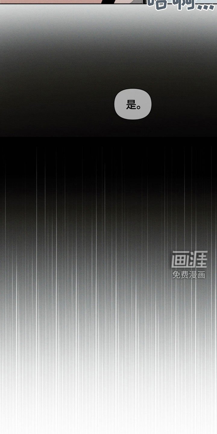 第62章：当我是白痴