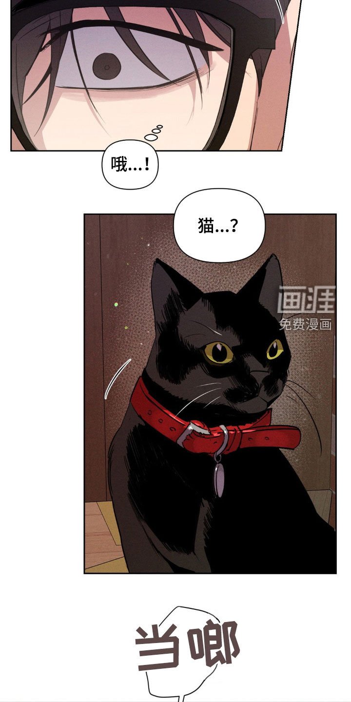 第73章：辞职