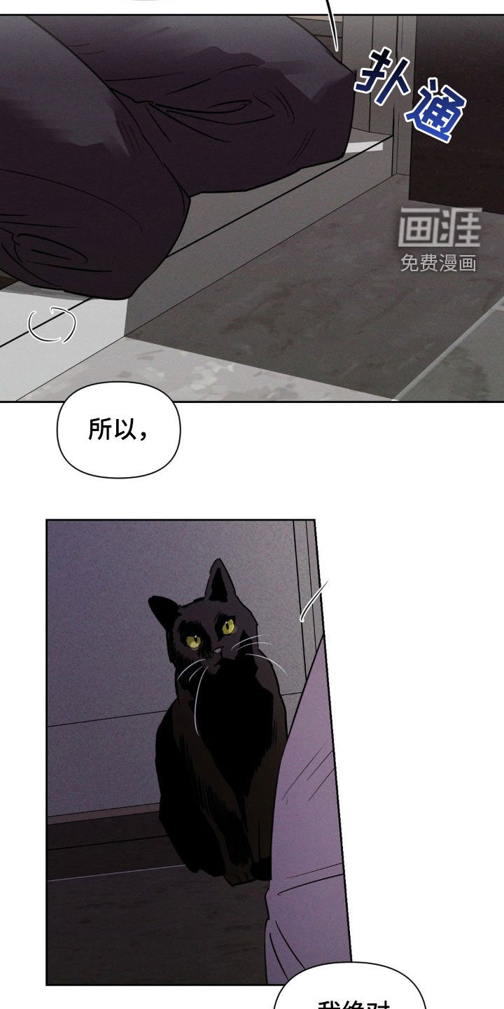 第74章：你这个疯子（完结）