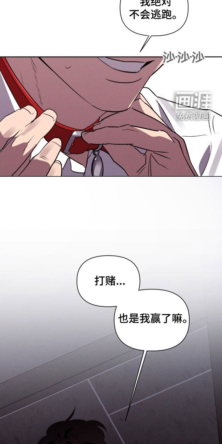 第74章：你这个疯子（完结）