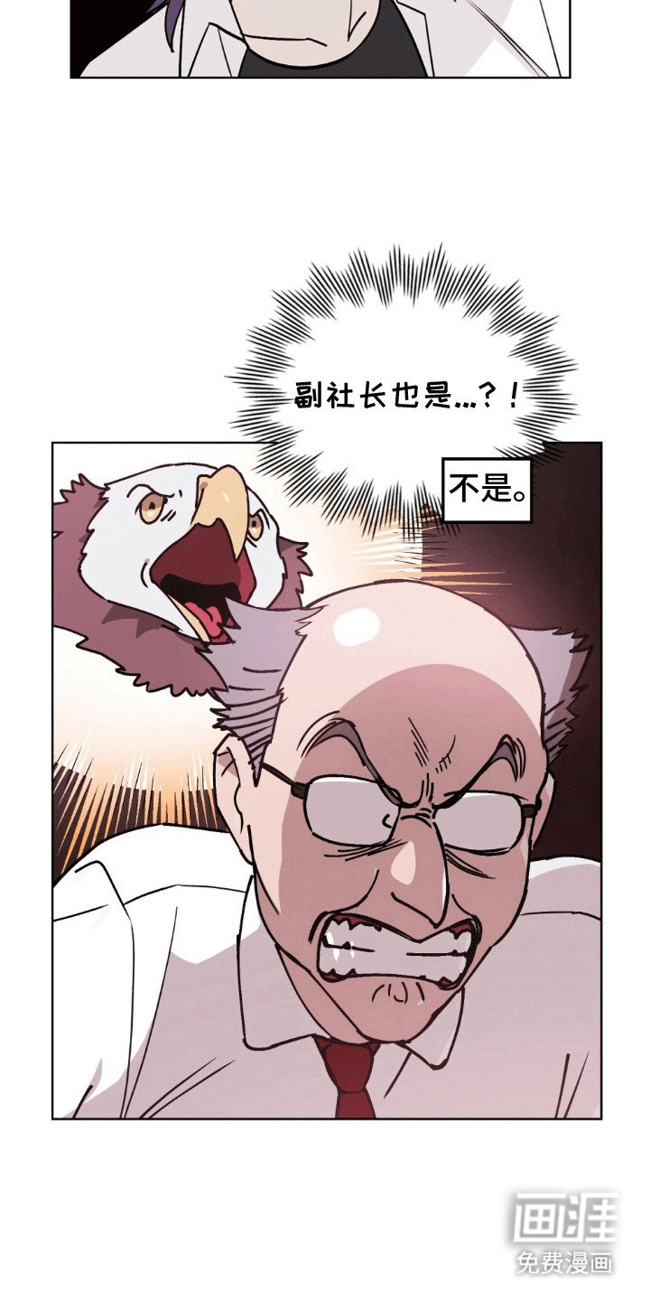 第11章：她会回来的