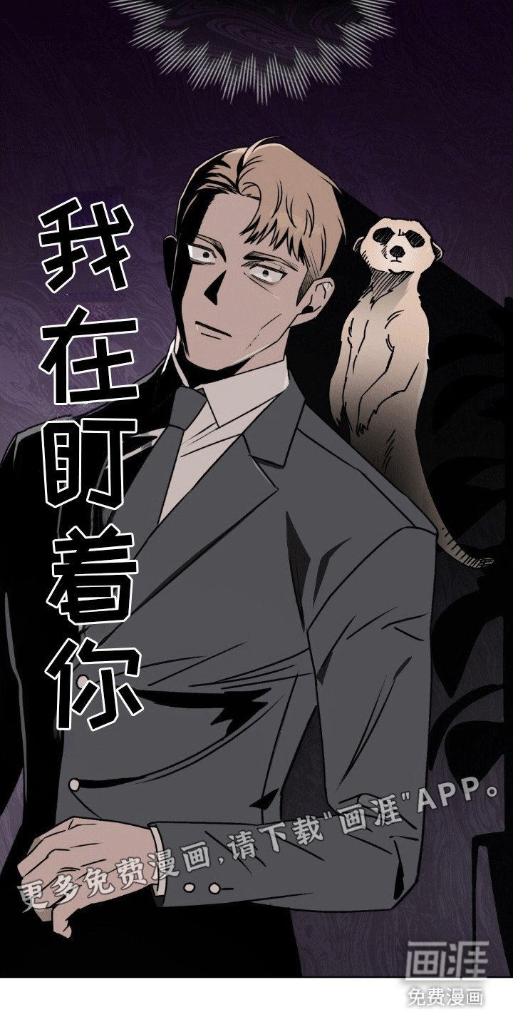 第12章：新作者