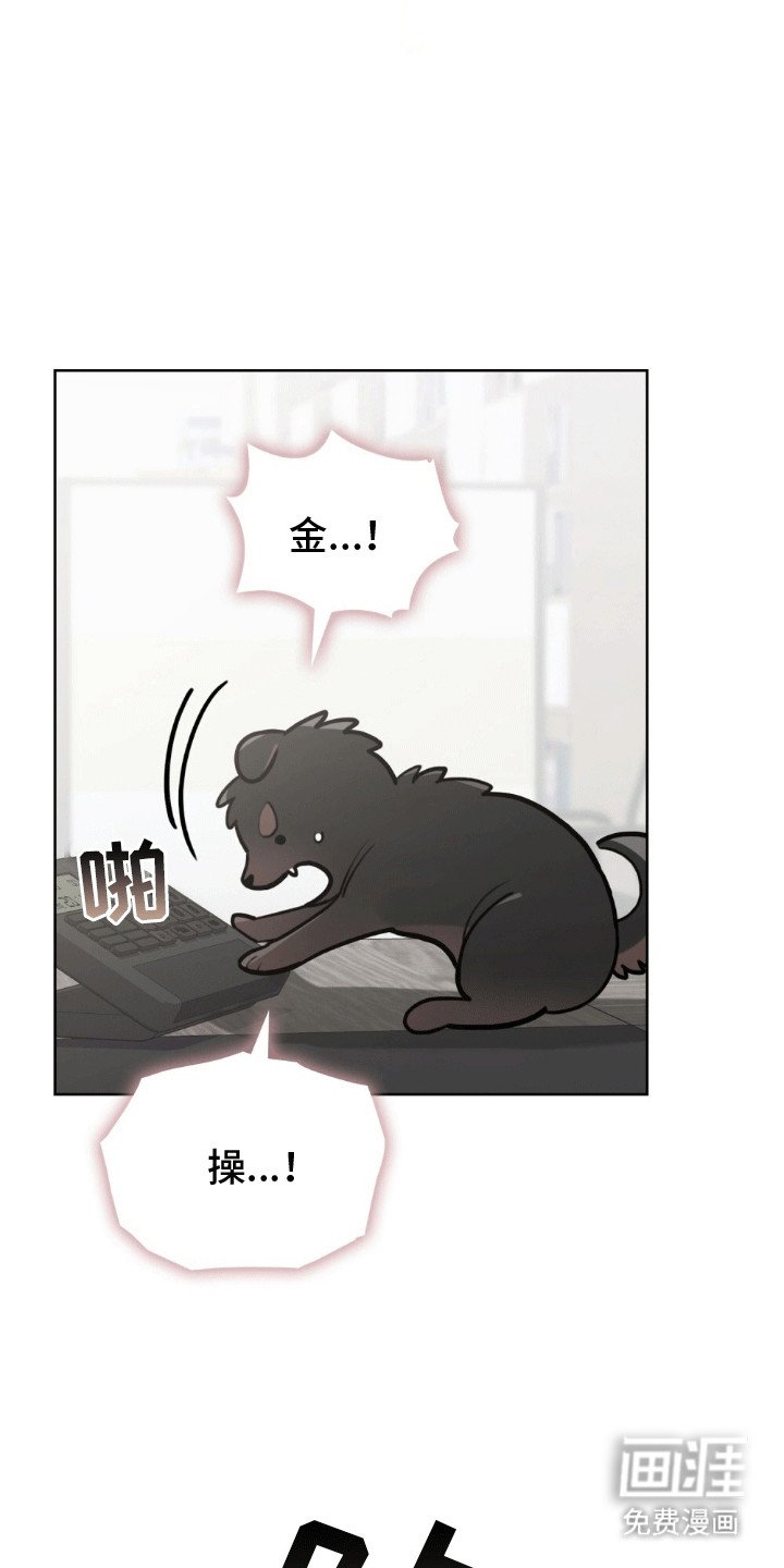 第15章：副作用