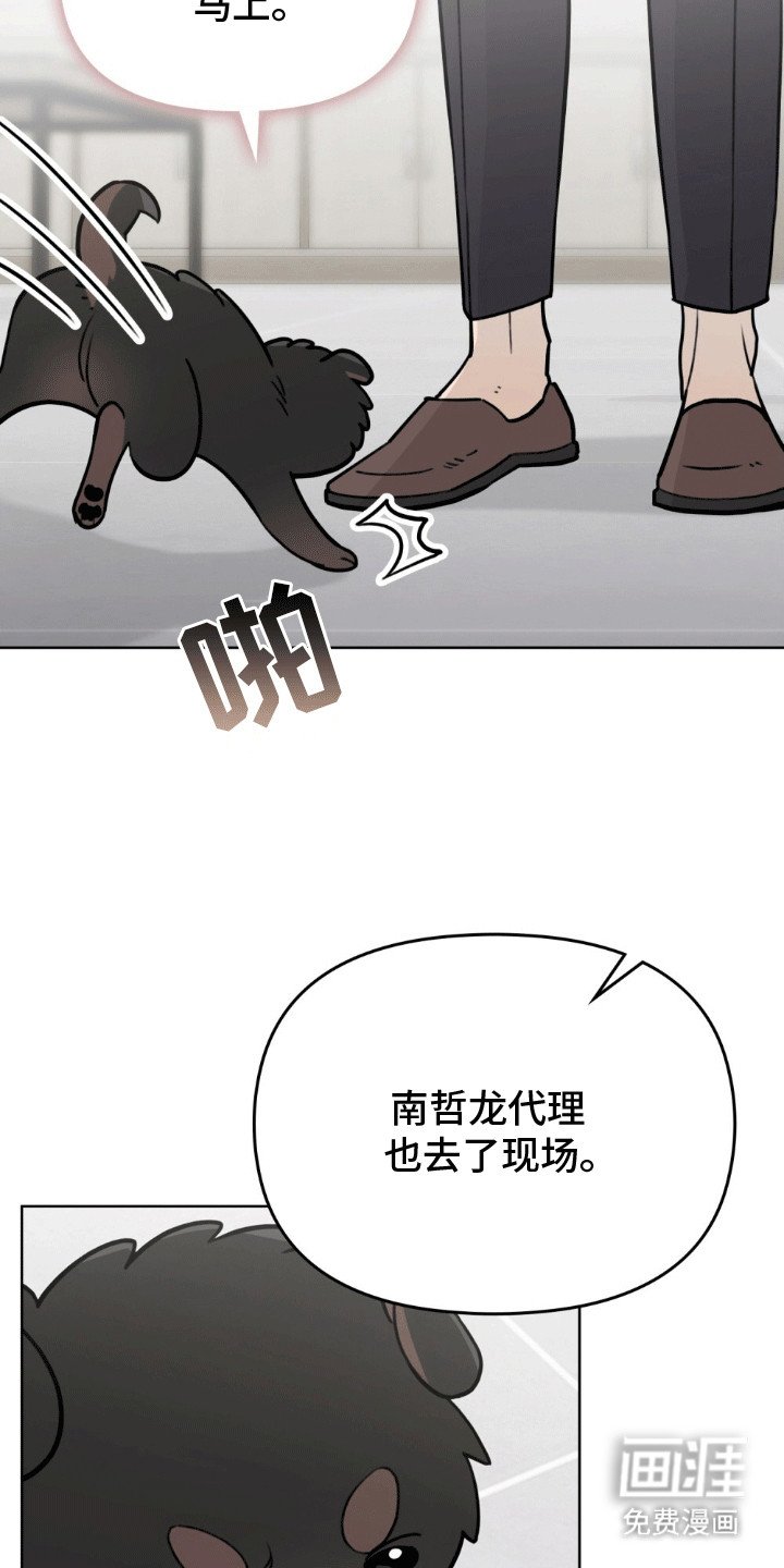 第15章：副作用