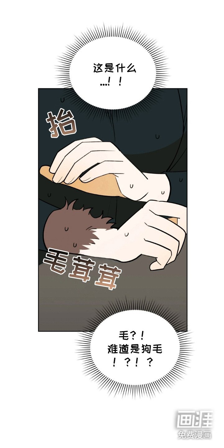 第16章：错过