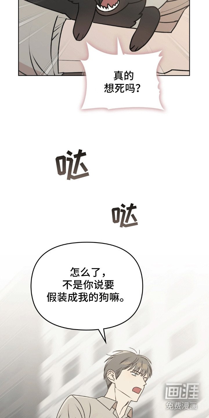第16章：错过