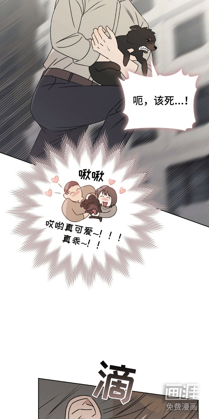 第16章：错过