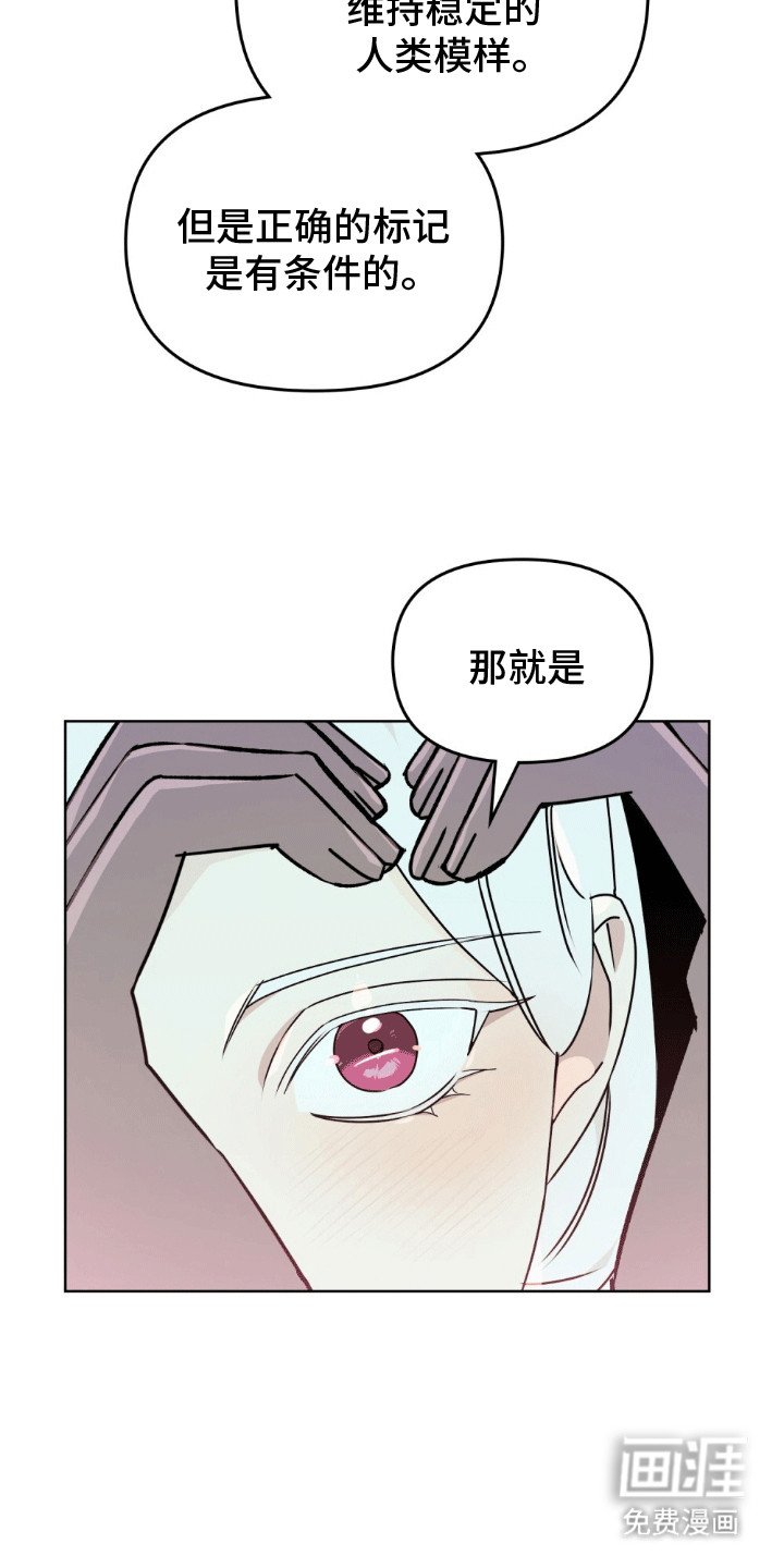 第17章：不能没有彼此