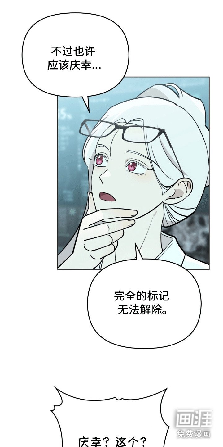 第17章：不能没有彼此