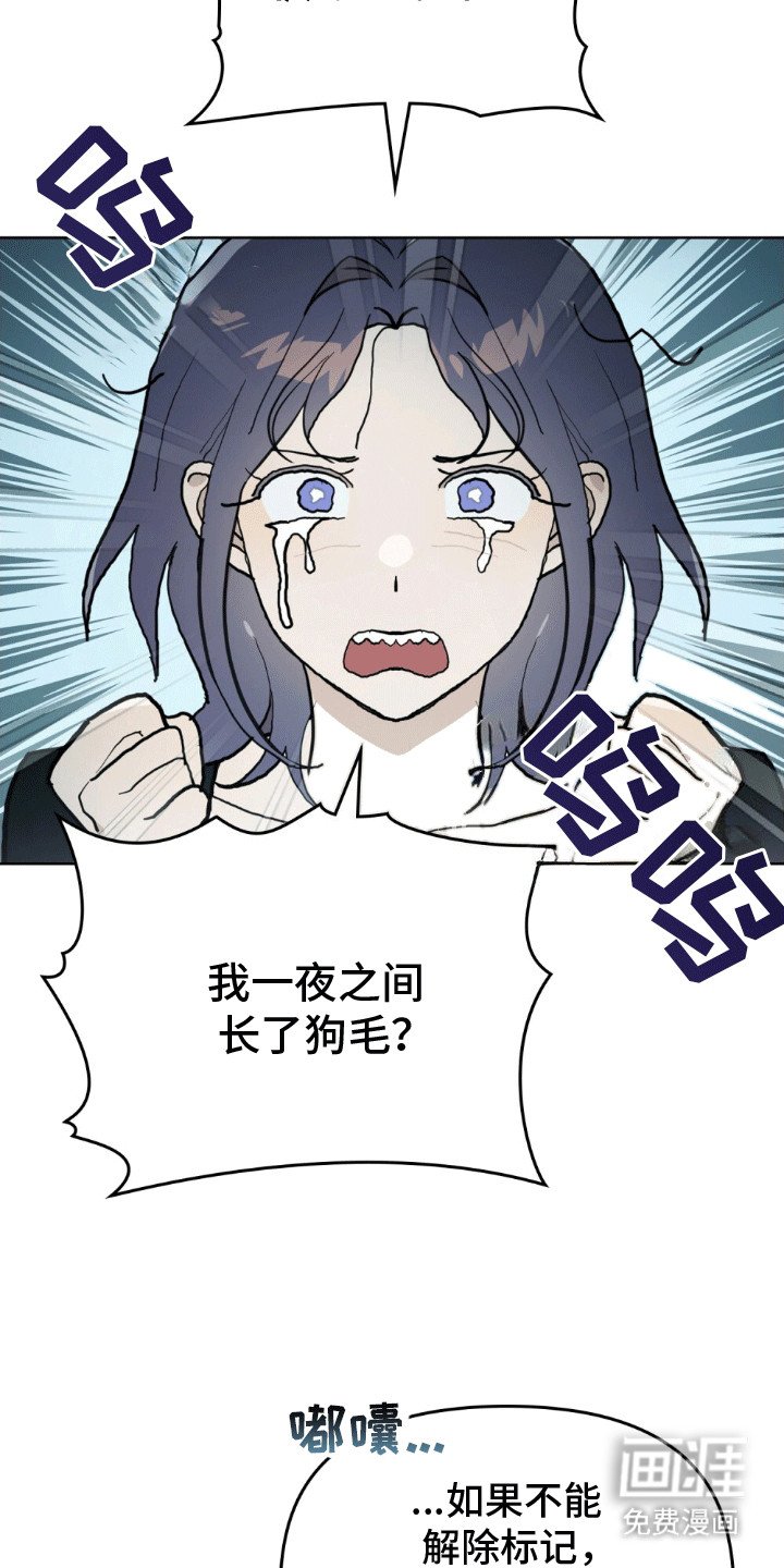第17章：不能没有彼此