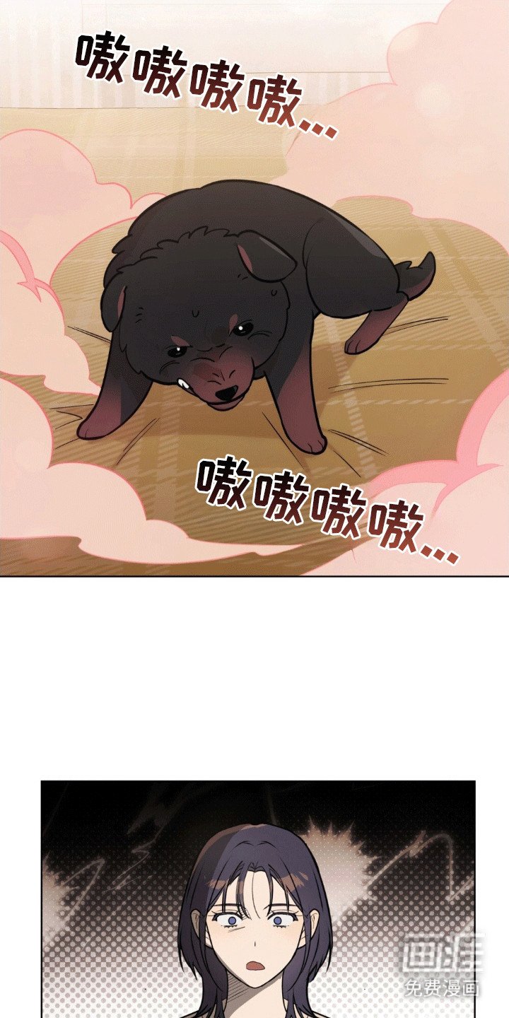 第4章：他变成·狗了