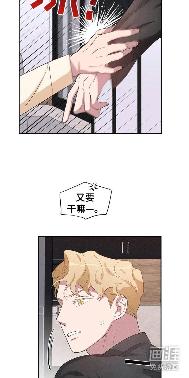 第18章：想了解他