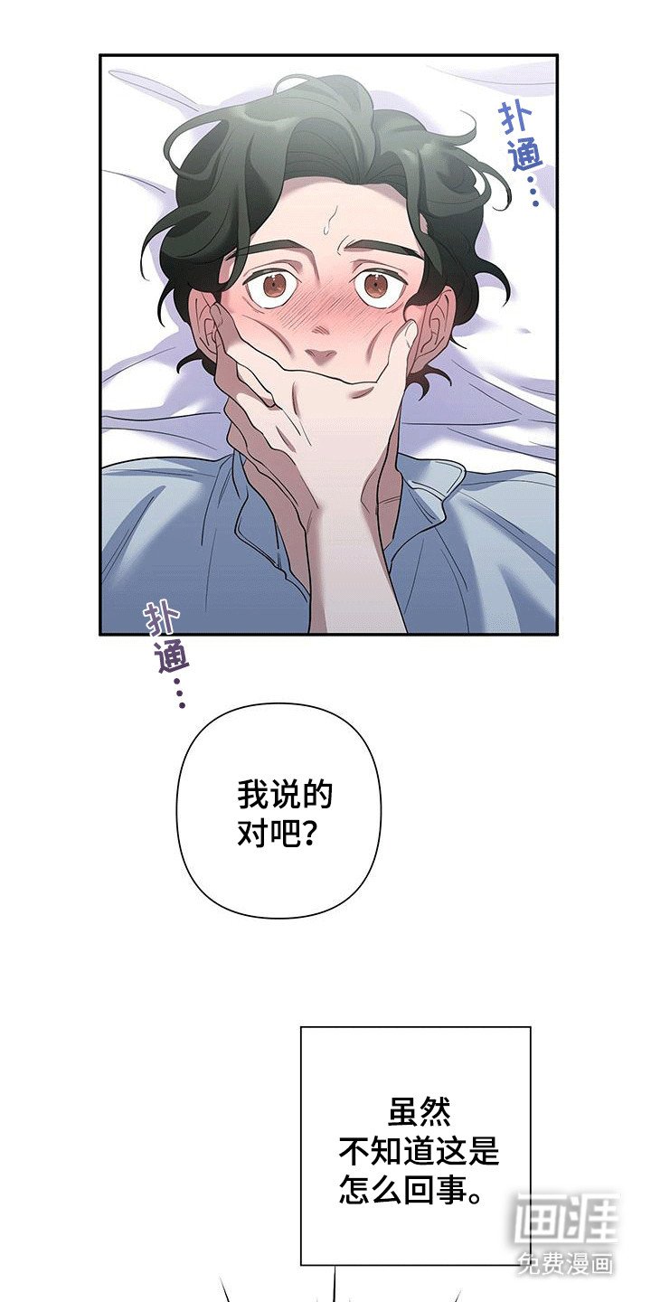 第2章：带回酒店