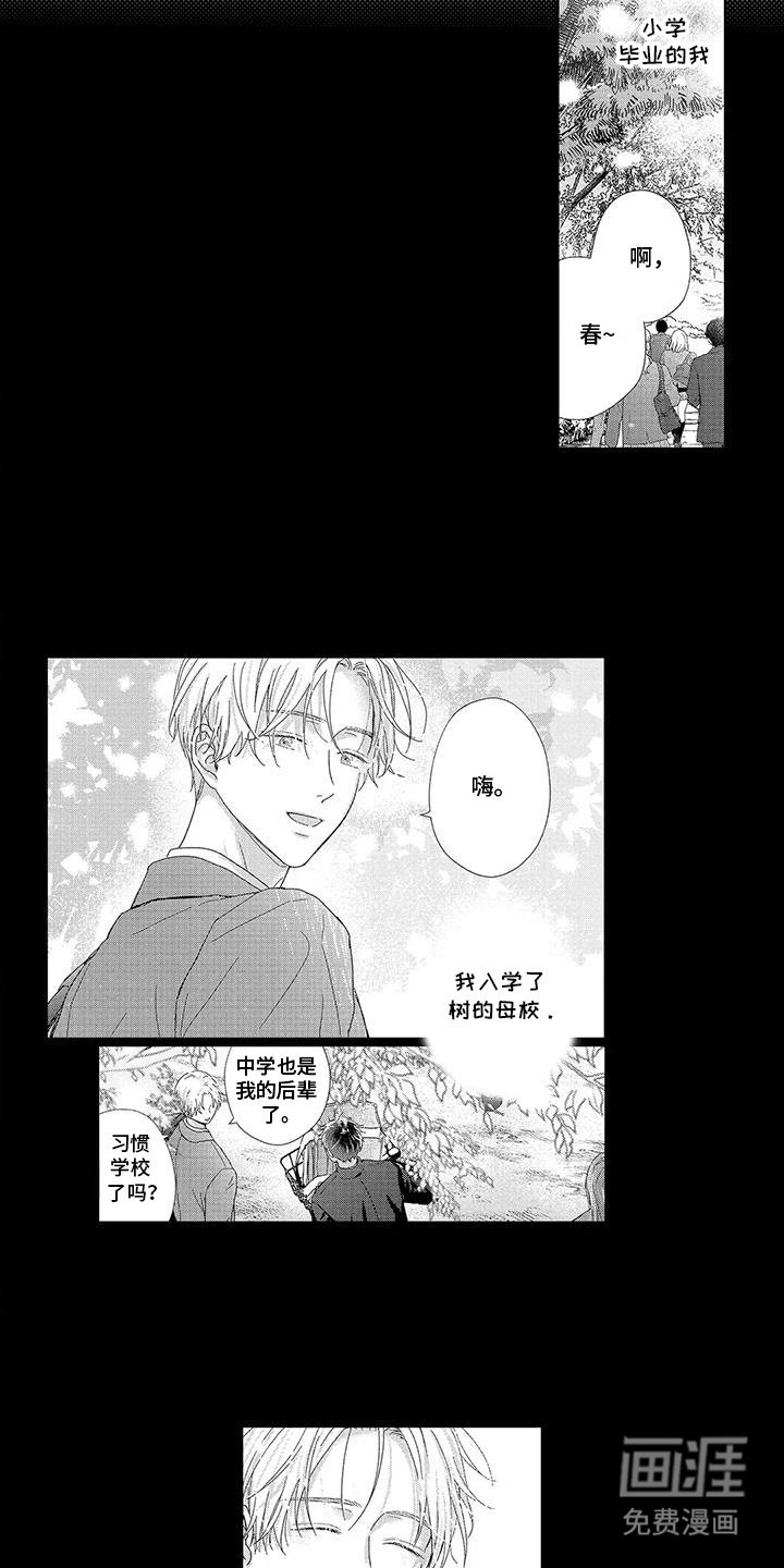 第14章：被迷住