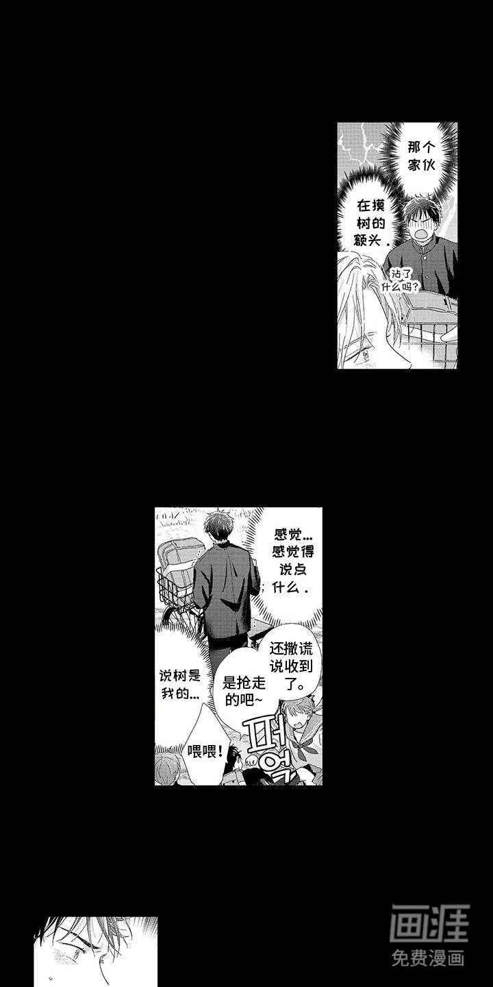 第14章：被迷住