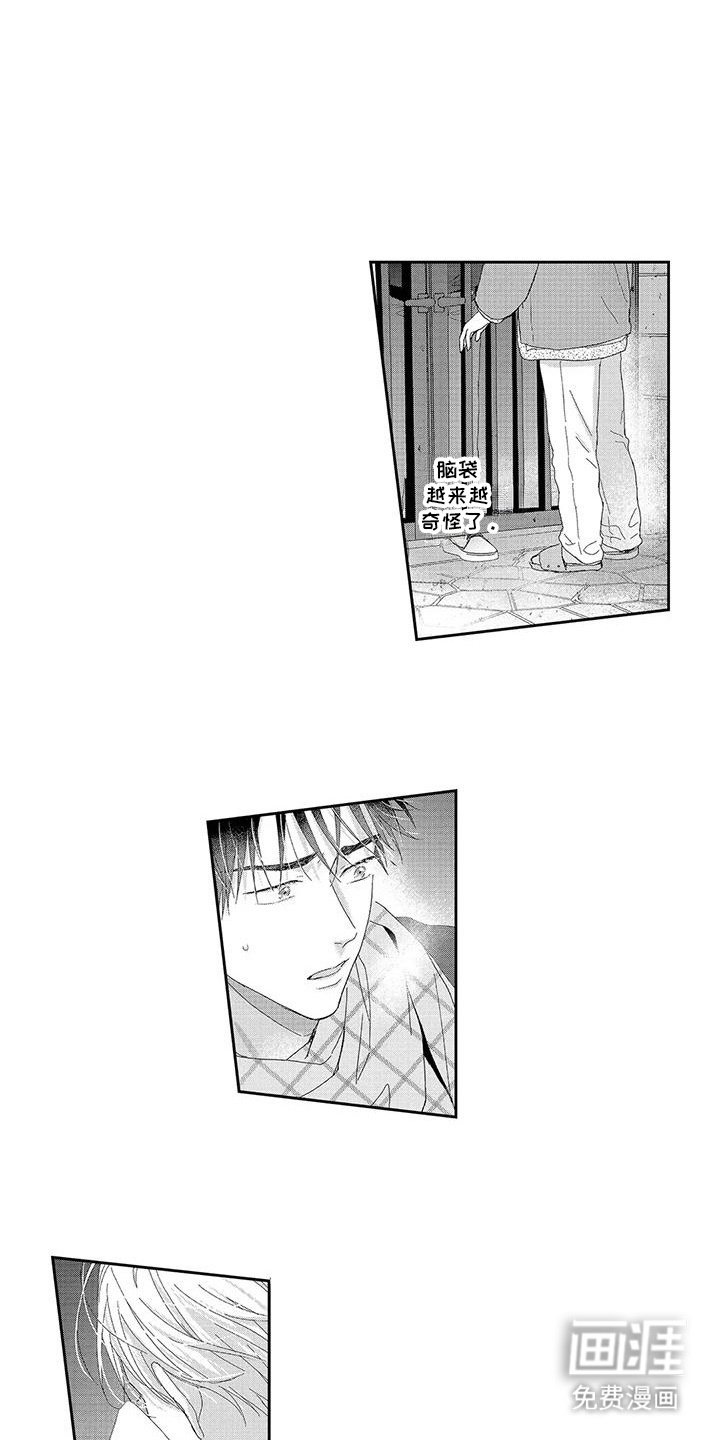 第18章：相册