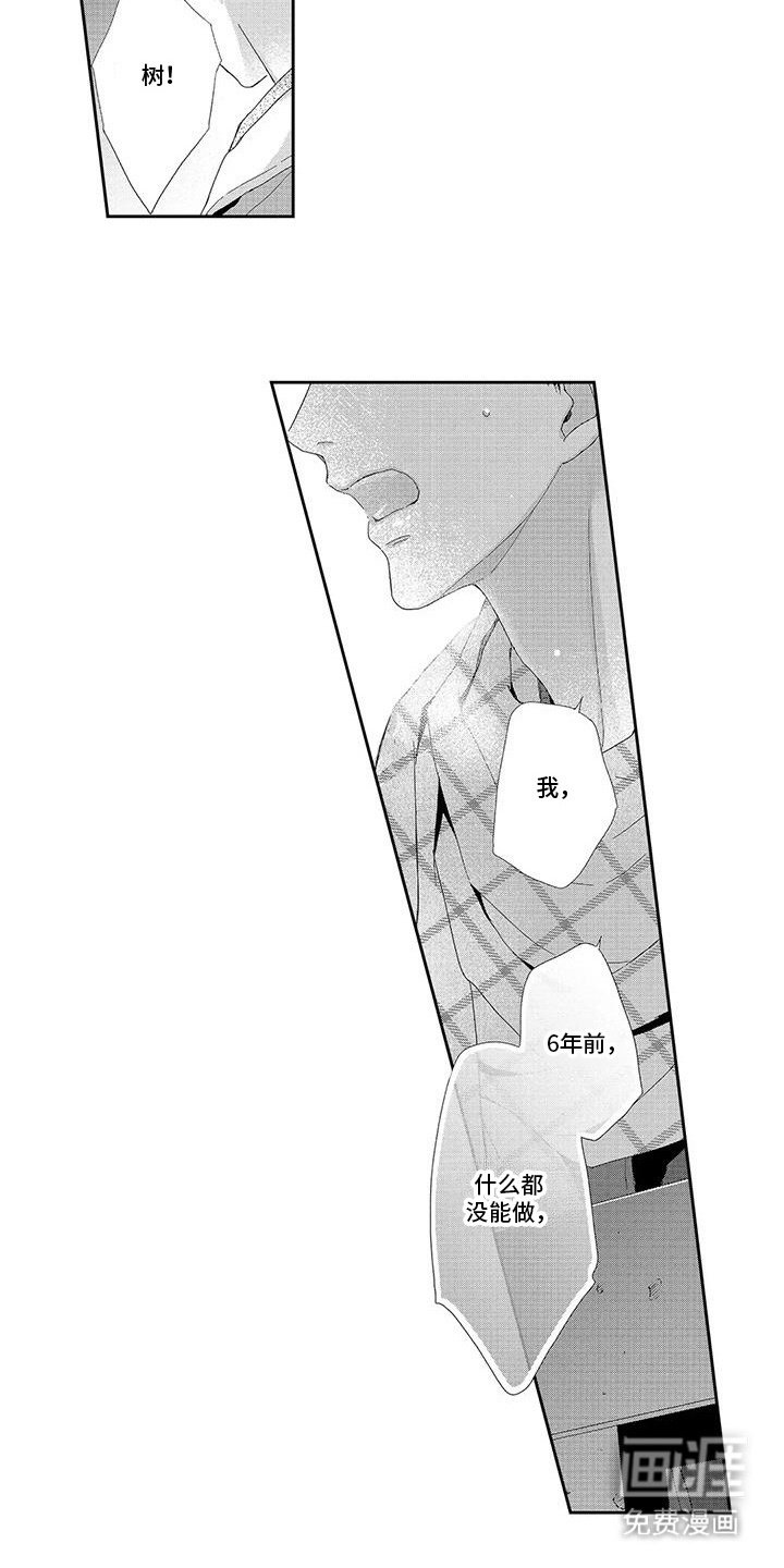 第18章：相册