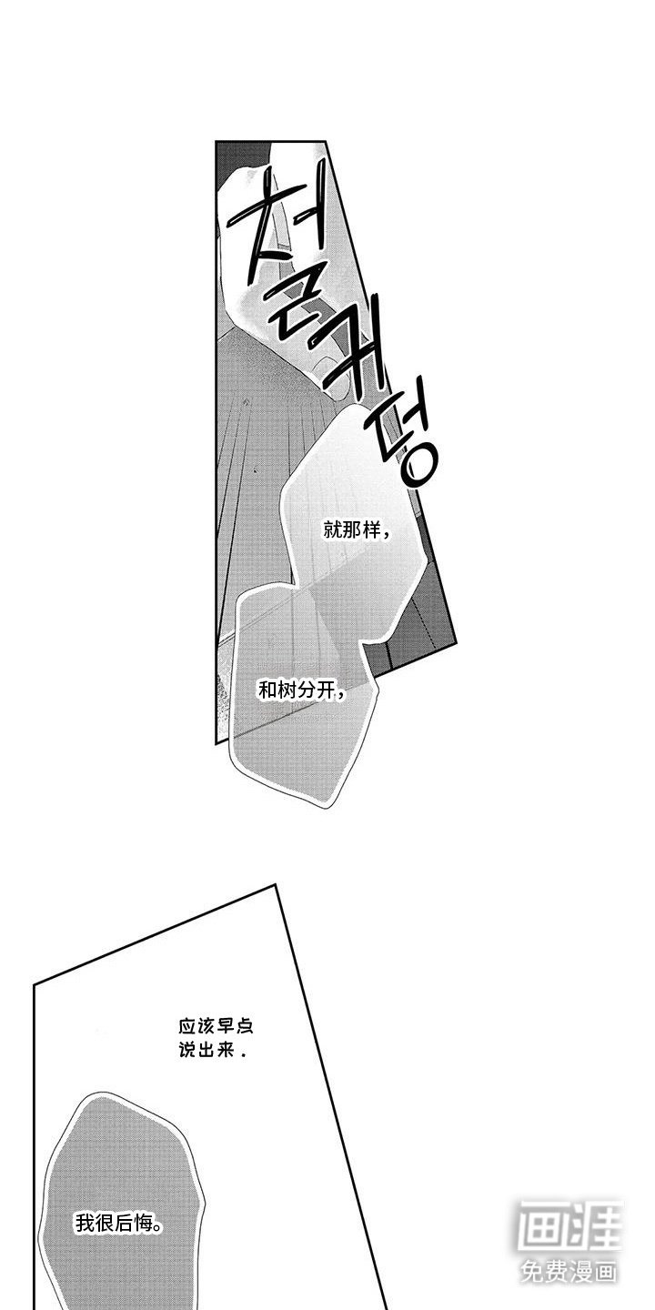 第18章：相册