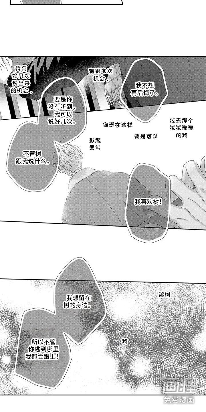 第18章：相册