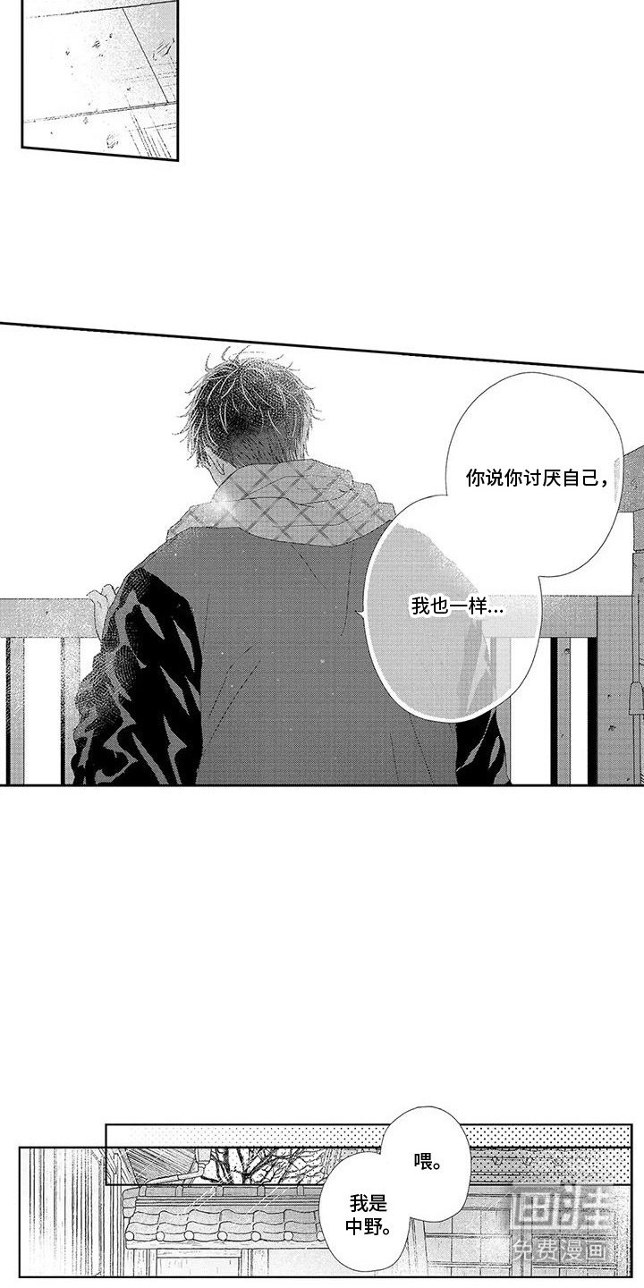 第18章：相册