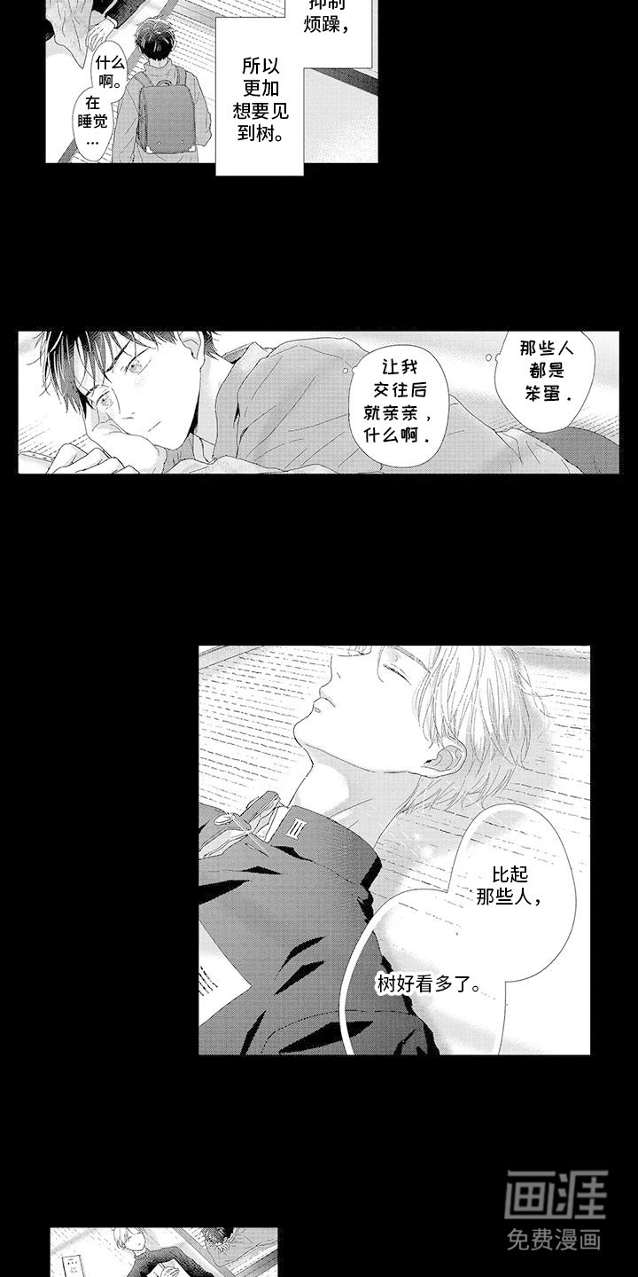 第3章：一束光