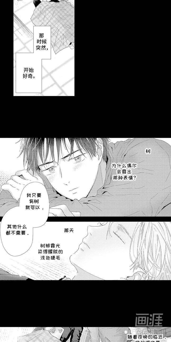 第3章：一束光