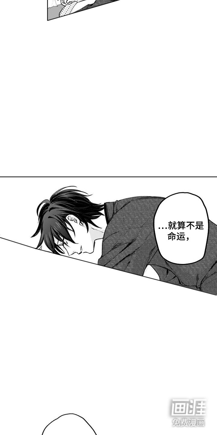 第20章：一起生活