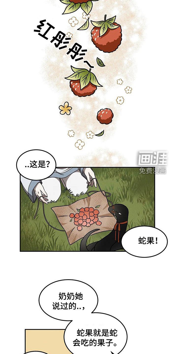 第15章：形影不离