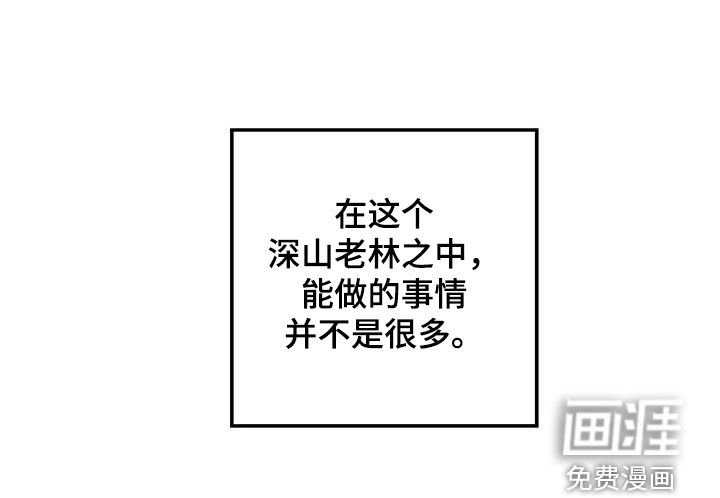 第25章：选择权