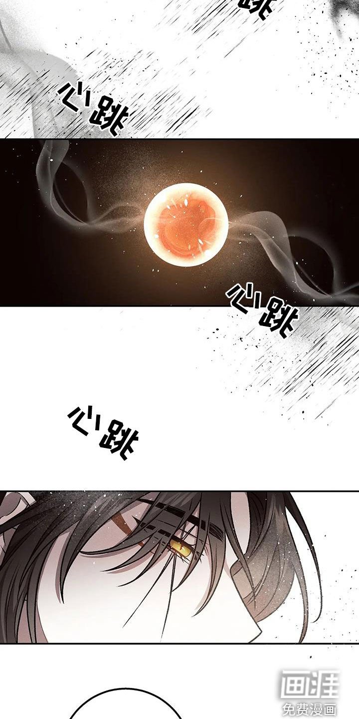 第25章：选择权