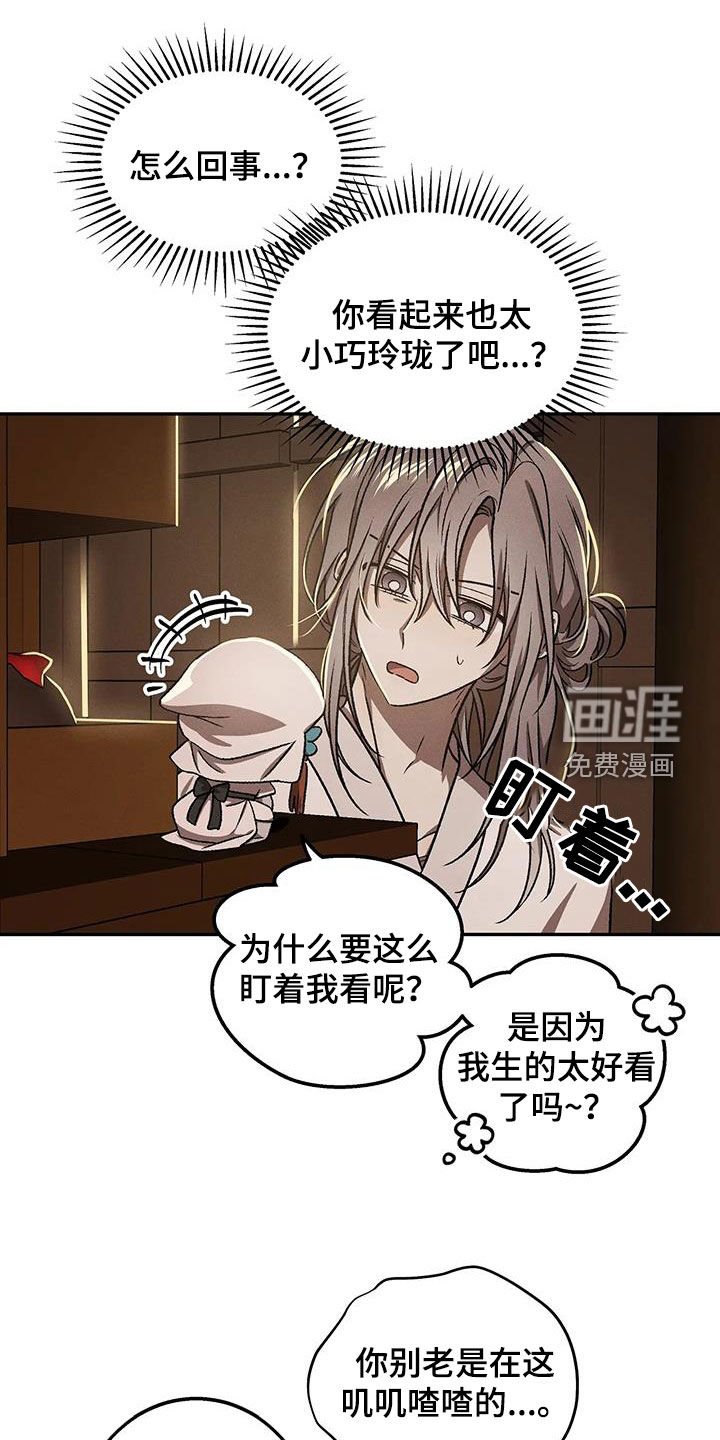 第26章：小精灵