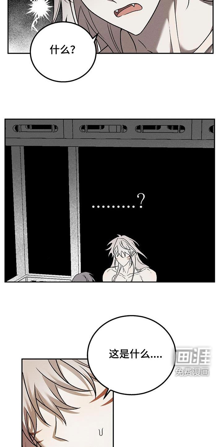 第52章：我帮你找