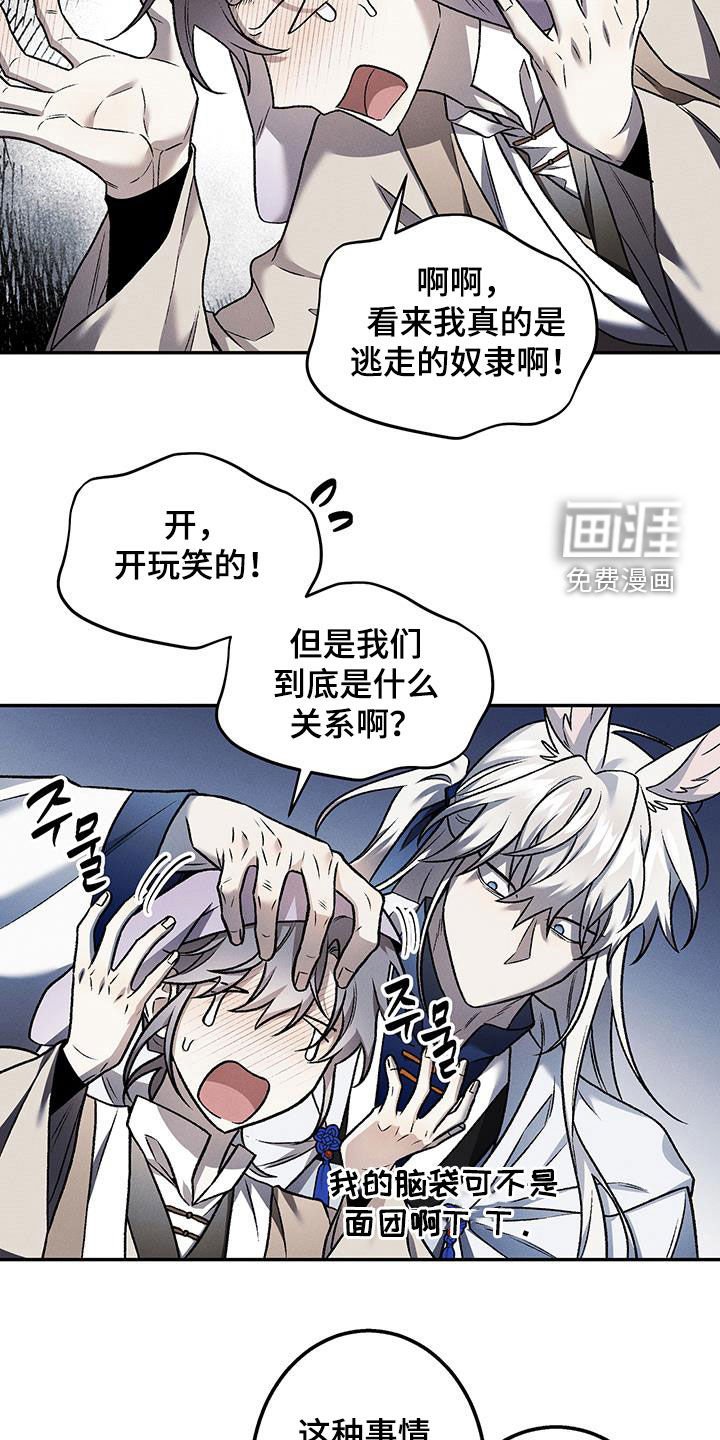 第57章：肌肉兔子