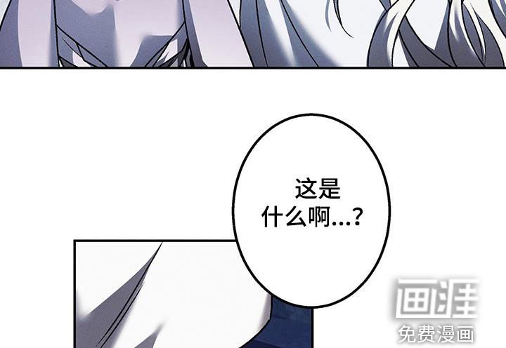 第57章：肌肉兔子