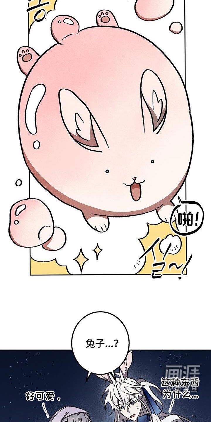 第57章：肌肉兔子
