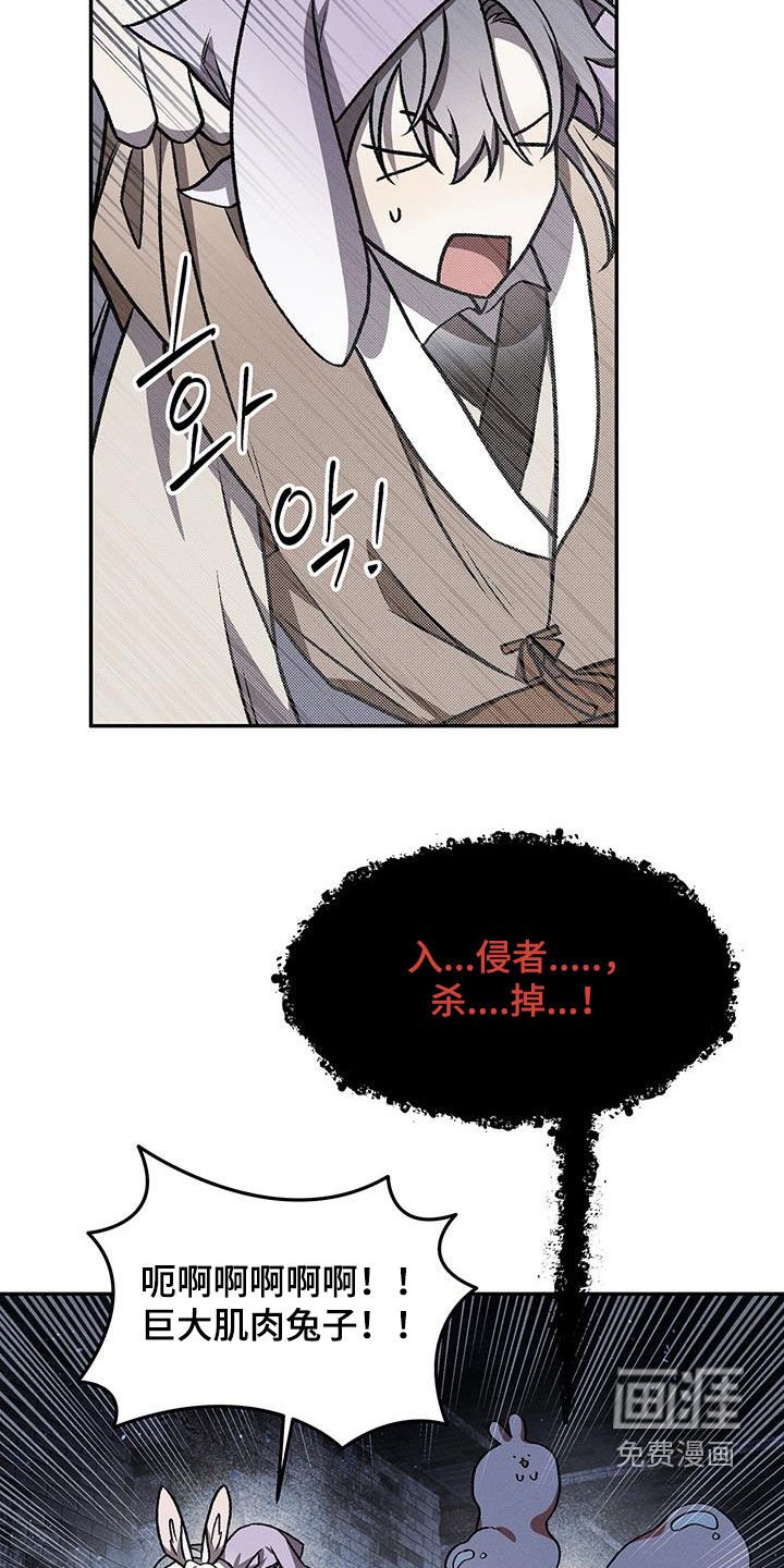 第57章：肌肉兔子